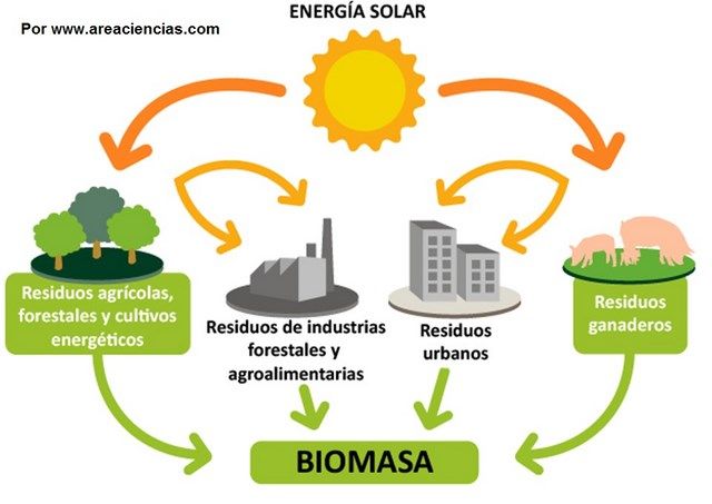 Esquema del uso de la biomasa. Fuente: areaciencias.com